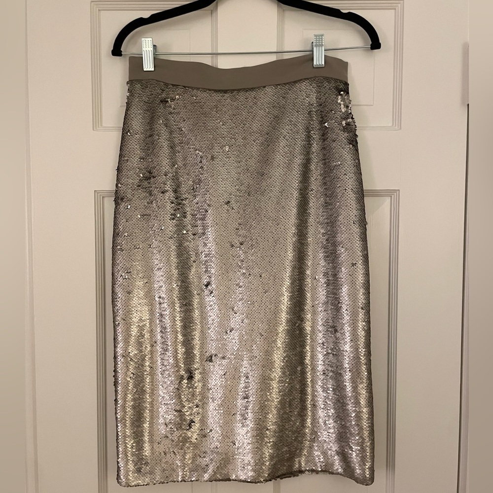 Banana Republic Collection sequin skirt